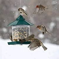 TopHGC Comedero para pájaros- comedero Colgante para pájaros Silvestres Contenedor de Comida para pájaros al Aire Libre…